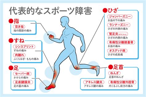 別怪我|【スポーツ外傷・障害】怪我の対処法 種類一覧 怪我・予防法